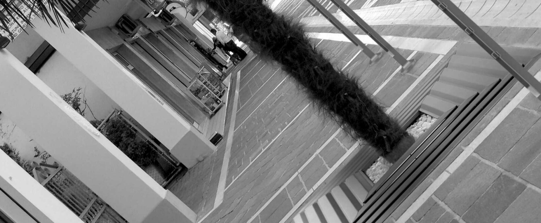 Alcorque ARBORIS para parques y espacios públicos