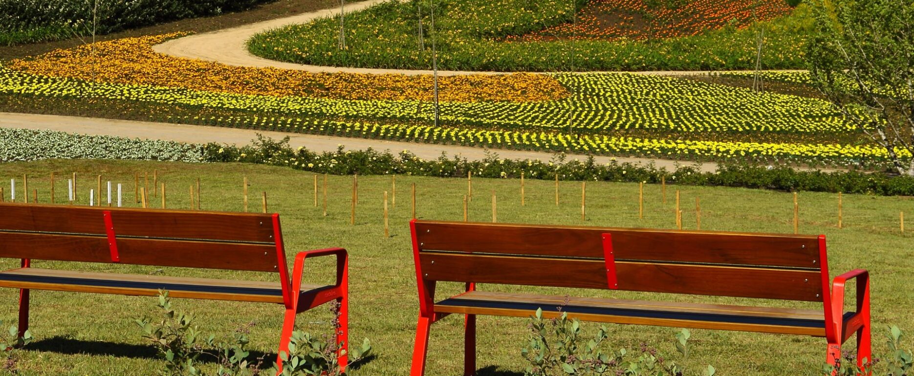 Parque exterior, Banco Bailo, Disset Urban