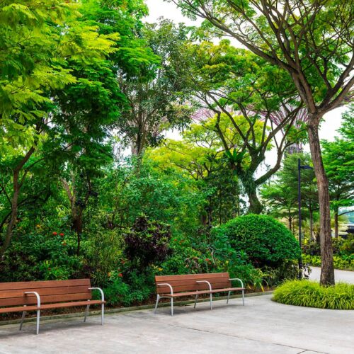 Zonas de descanso en jardín verde, Riva, Disset Urban.