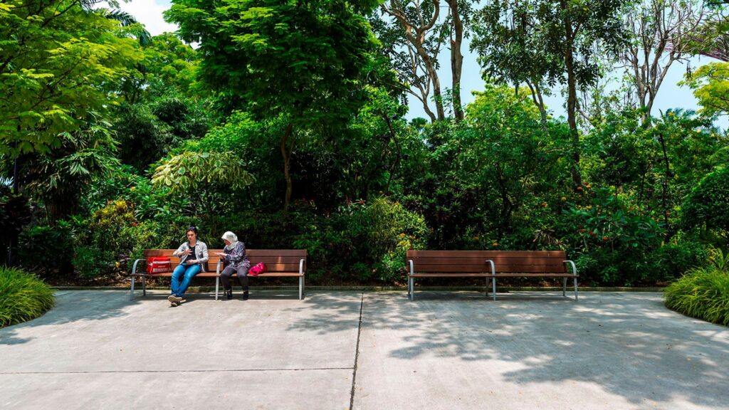 giardini-della-baia-di-singapore-disseturban-06 Bancos entre vegetación tropical, Riva, Disset Urban